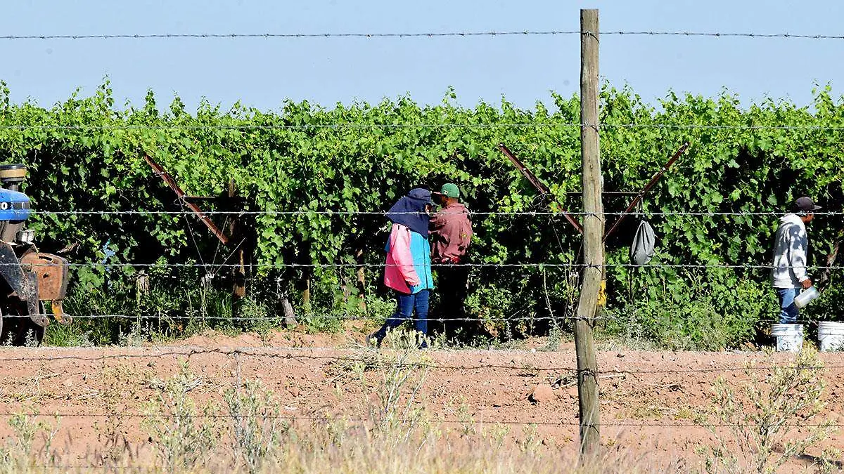 Jornaleros Agricolas Costa de Hermosillo-Carlos Villalba (25)